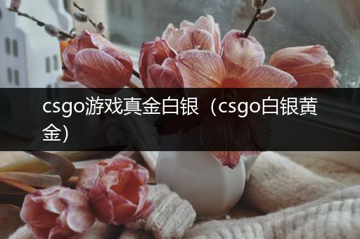 csgo游戏真金白银（csgo白银黄金）