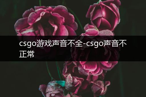 csgo游戏声音不全-csgo声音不正常