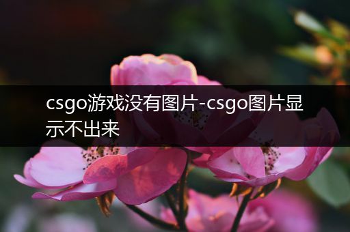 csgo游戏没有图片-csgo图片显示不出来