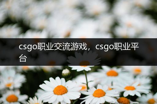 csgo职业交流游戏，csgo职业平台