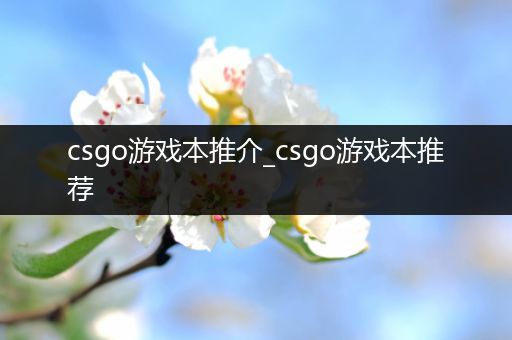 csgo游戏本推介_csgo游戏本推荐