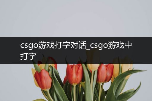 csgo游戏打字对话_csgo游戏中打字