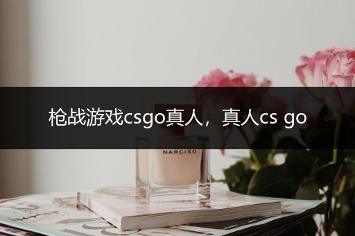 枪战游戏csgo真人，真人cs go