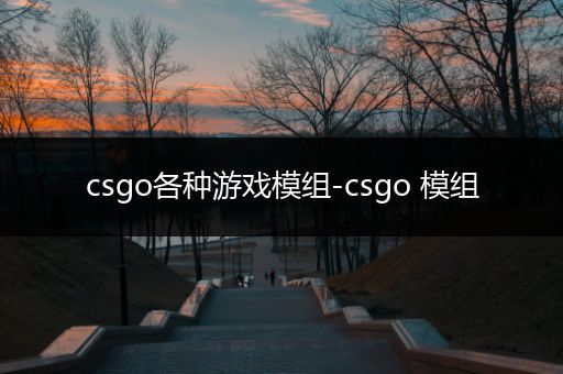 csgo各种游戏模组-csgo 模组