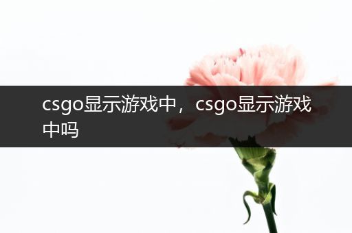 csgo显示游戏中，csgo显示游戏中吗