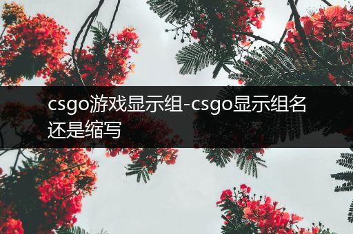csgo游戏显示组-csgo显示组名还是缩写