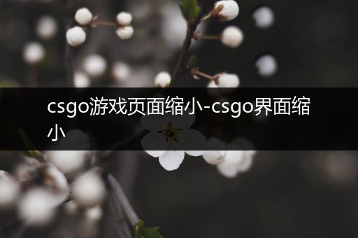 csgo游戏页面缩小-csgo界面缩小