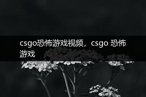 csgo恐怖游戏视频，csgo 恐怖游戏