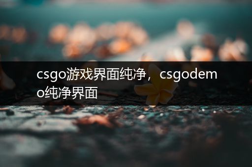 csgo游戏界面纯净，csgodemo纯净界面