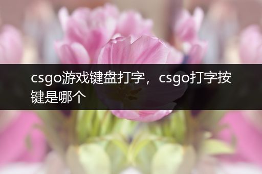 csgo游戏键盘打字，csgo打字按键是哪个