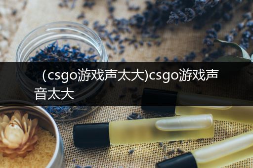 （csgo游戏声太大)csgo游戏声音太大