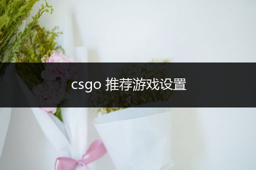 csgo 推荐游戏设置