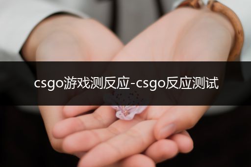 csgo游戏测反应-csgo反应测试