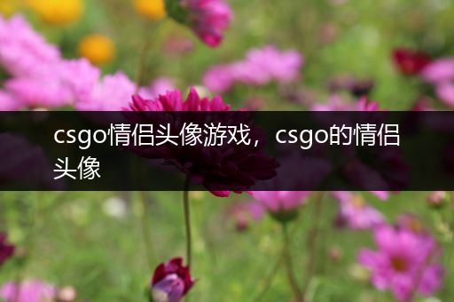 csgo情侣头像游戏，csgo的情侣头像