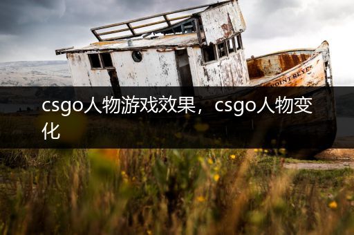 csgo人物游戏效果，csgo人物变化