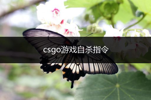 csgo游戏自杀指令