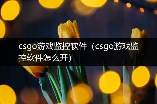 csgo游戏监控软件（csgo游戏监控软件怎么开）