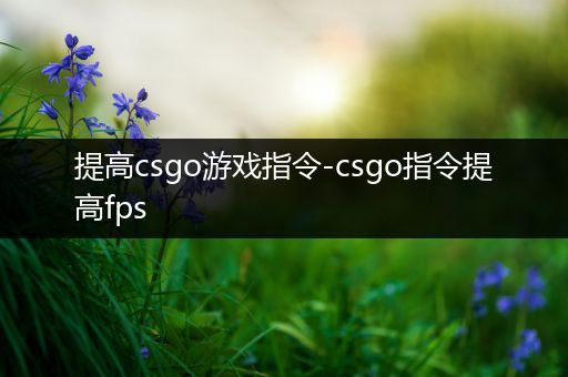 提高csgo游戏指令-csgo指令提高fps