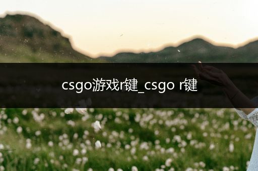 csgo游戏r键_csgo r键