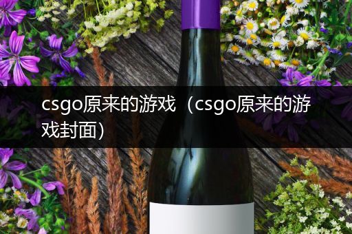 csgo原来的游戏（csgo原来的游戏封面）