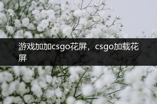 游戏加加csgo花屏，csgo加载花屏