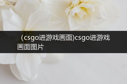 （csgo进游戏画面)csgo进游戏画面图片