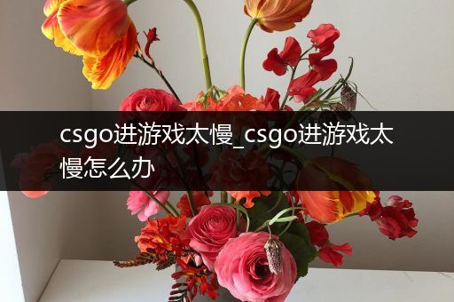 csgo进游戏太慢_csgo进游戏太慢怎么办