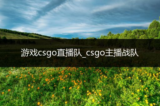 游戏csgo直播队_csgo主播战队