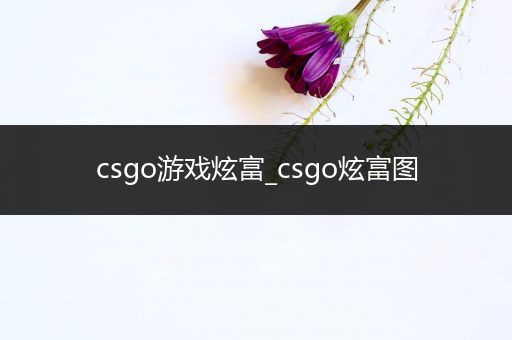 csgo游戏炫富_csgo炫富图