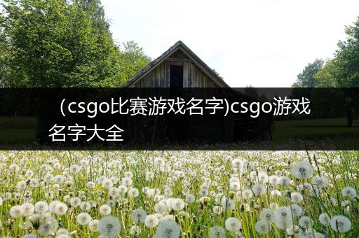 （csgo比赛游戏名字)csgo游戏名字大全