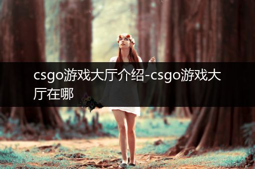 csgo游戏大厅介绍-csgo游戏大厅在哪