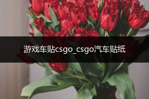 游戏车贴csgo_csgo汽车贴纸