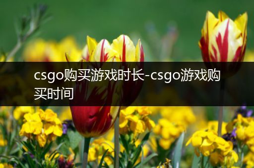 csgo购买游戏时长-csgo游戏购买时间