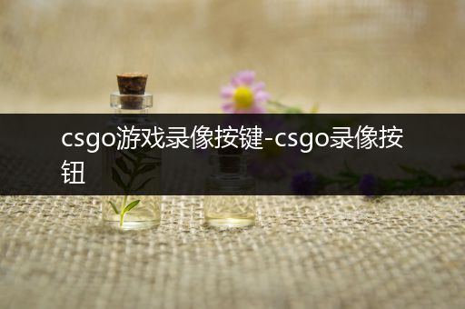 csgo游戏录像按键-csgo录像按钮