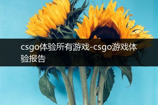 csgo体验所有游戏-csgo游戏体验报告