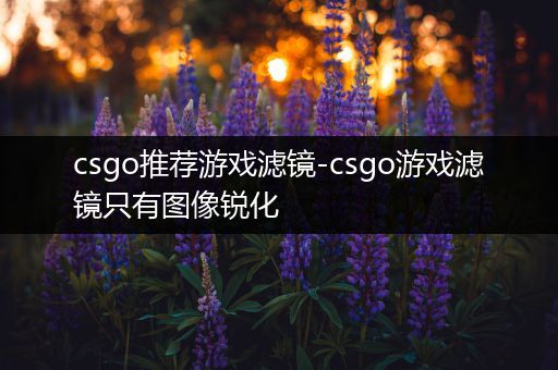 csgo推荐游戏滤镜-csgo游戏滤镜只有图像锐化