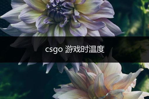 csgo 游戏时温度