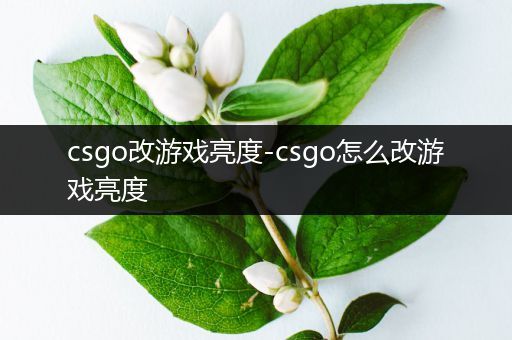 csgo改游戏亮度-csgo怎么改游戏亮度