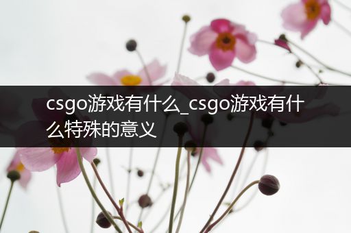 csgo游戏有什么_csgo游戏有什么特殊的意义