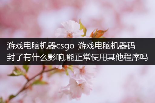 游戏电脑机器csgo-游戏电脑机器码封了有什么影响,能正常使用其他程序吗