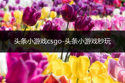 头条小游戏csgo-头条小游戏秒玩