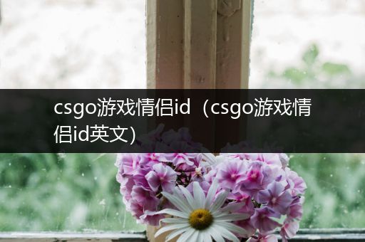 csgo游戏情侣id（csgo游戏情侣id英文）