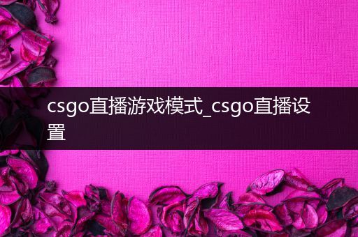 csgo直播游戏模式_csgo直播设置