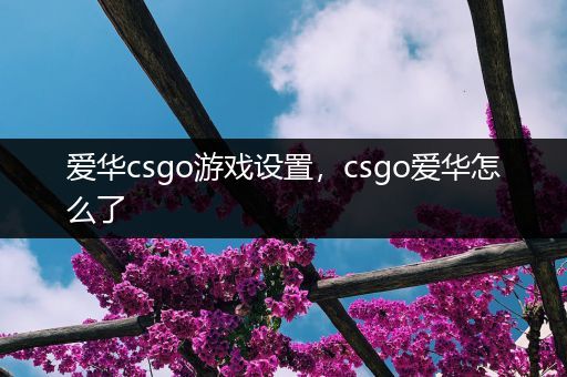 爱华csgo游戏设置，csgo爱华怎么了
