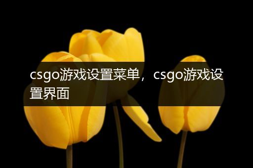 csgo游戏设置菜单，csgo游戏设置界面