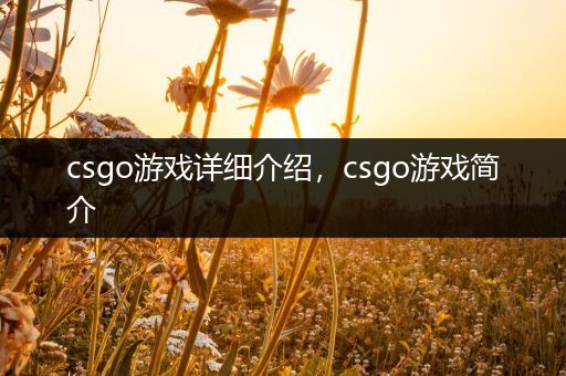 csgo游戏详细介绍，csgo游戏简介