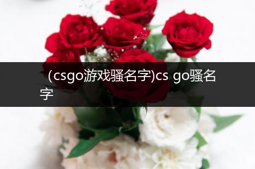 （csgo游戏骚名字)cs go骚名字