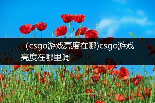 （csgo游戏亮度在哪)csgo游戏亮度在哪里调