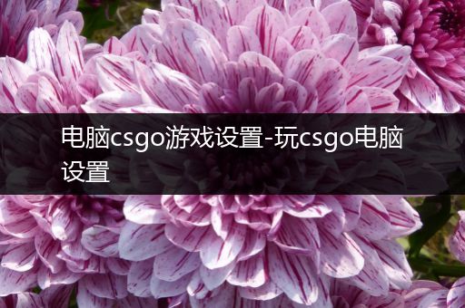 电脑csgo游戏设置-玩csgo电脑设置