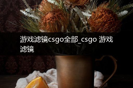 游戏滤镜csgo全部_csgo 游戏滤镜